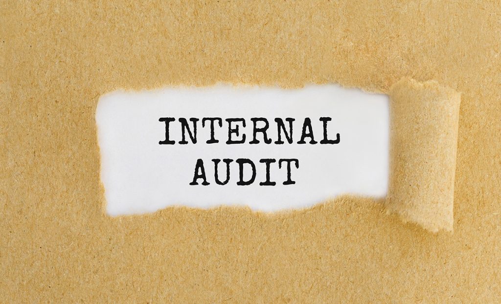 Hospital Internal Audit