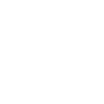 Document Shredding Services