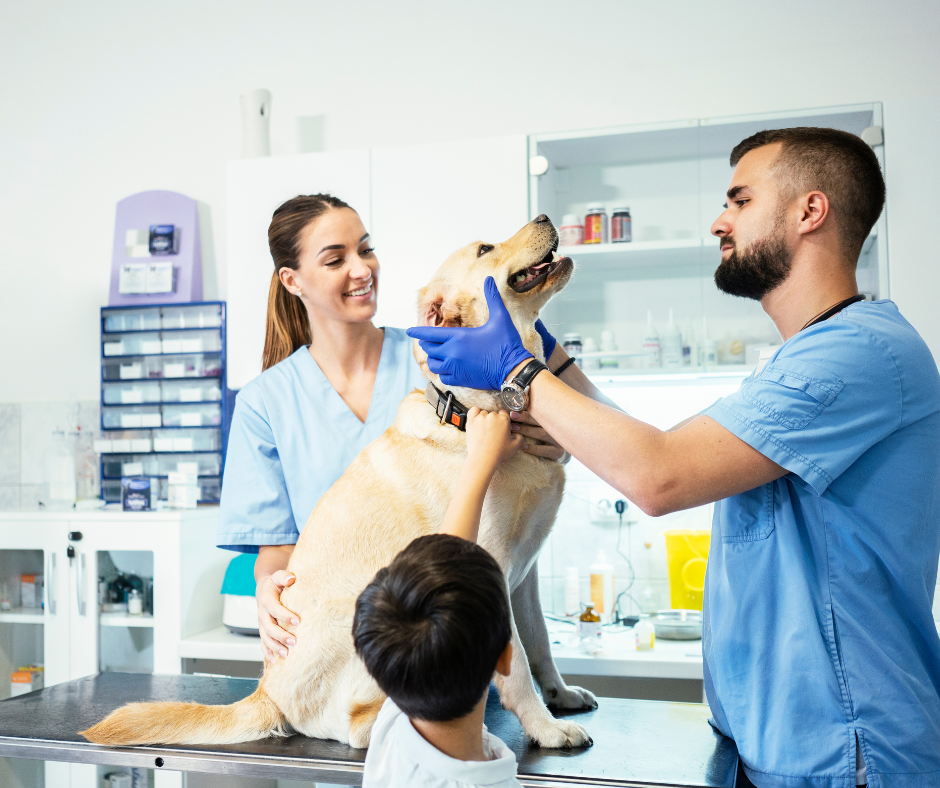 Handling and disposing of veterinary medical waste